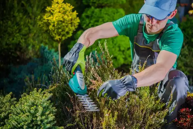 landscaping services Morehouse